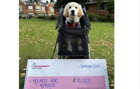 Golden Retriever puppy sat in puppy buggy with National Lottery Cheque