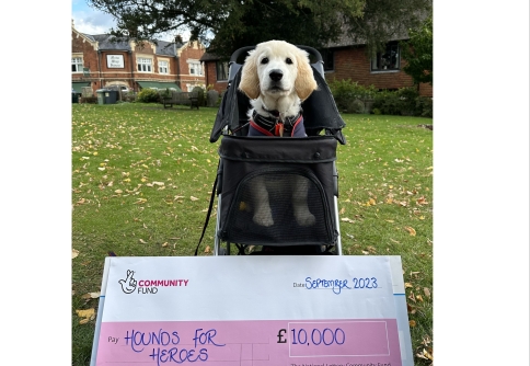Golden Retriever puppy sat in puppy buggy with National Lottery Cheque