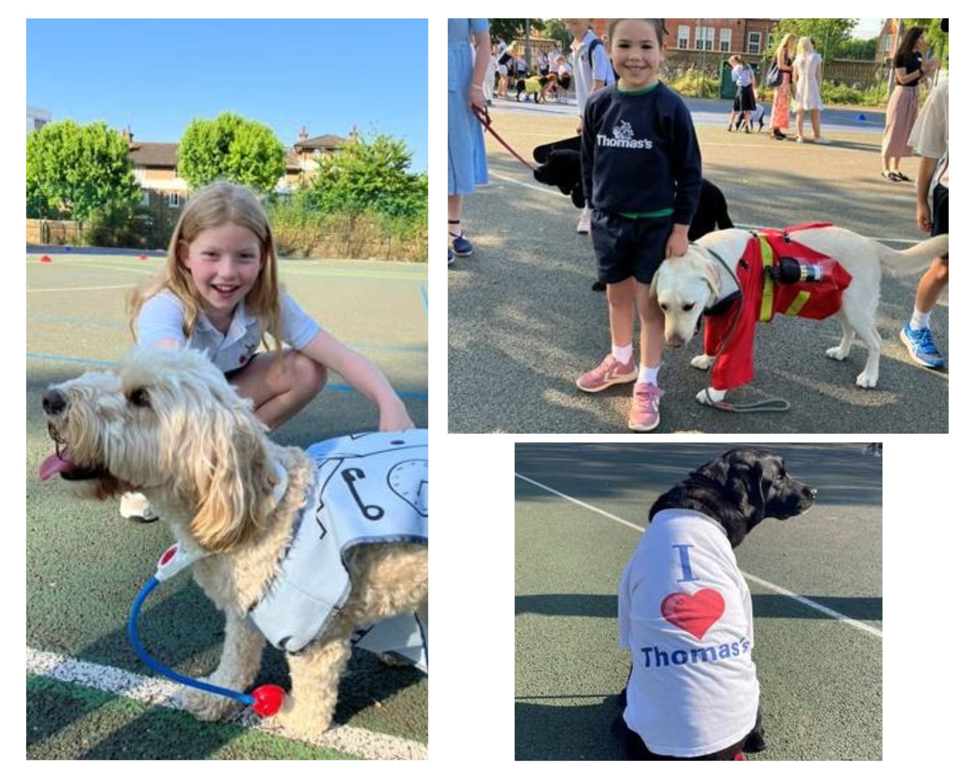 Children &amp; Dogs photo collage