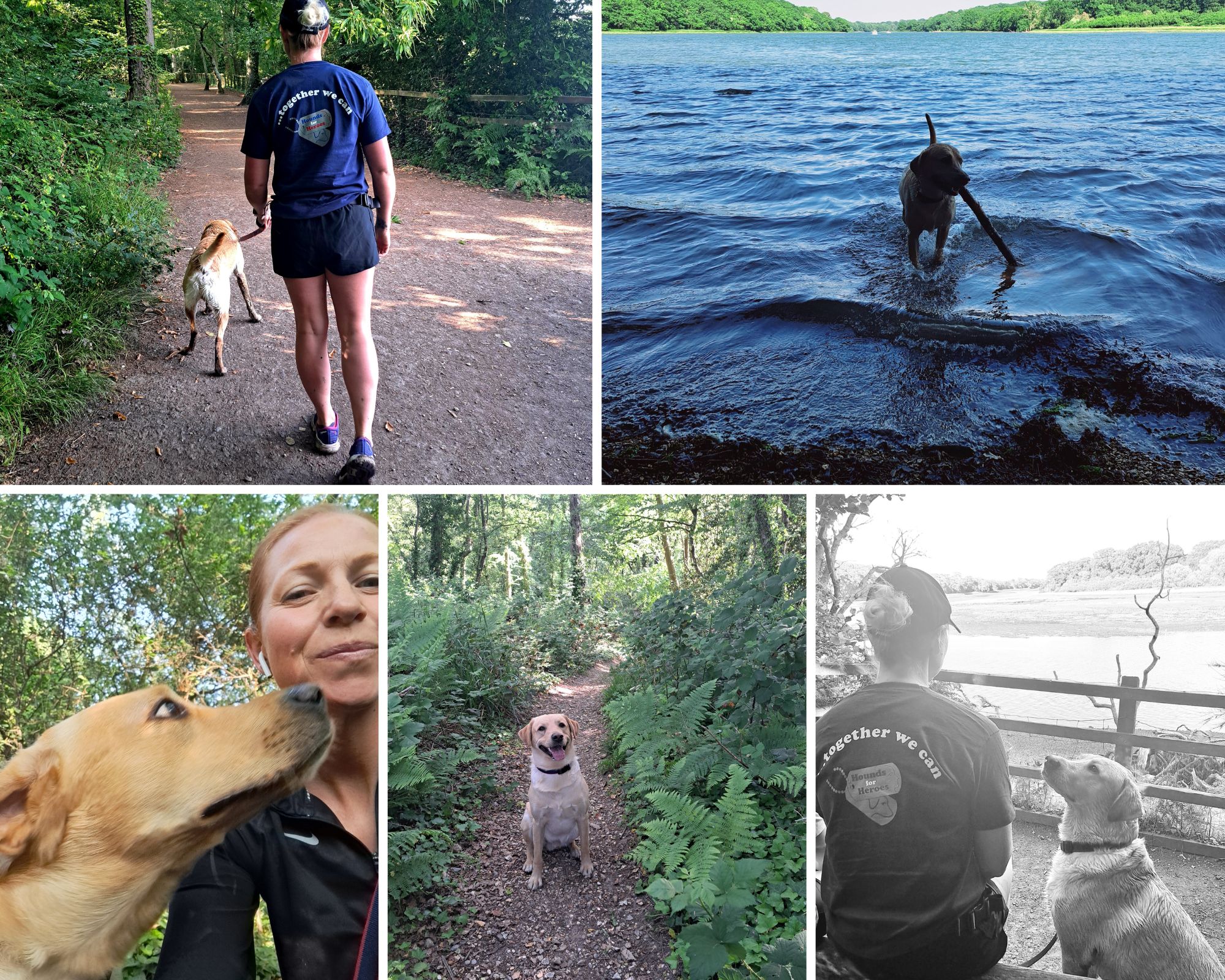 Photo collage of lady walking her dog