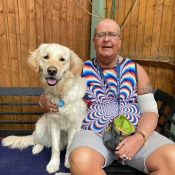 Assistance dog sat with his partner