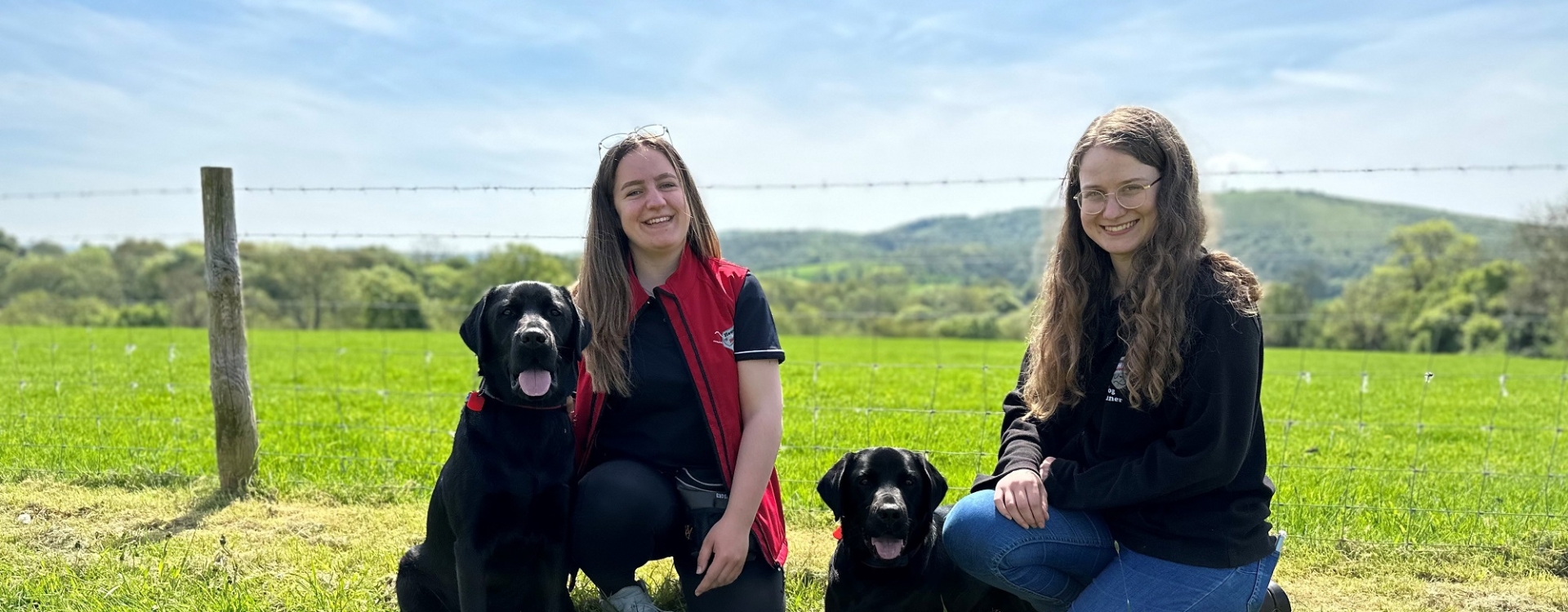 Dog trainers with two Black Labradors