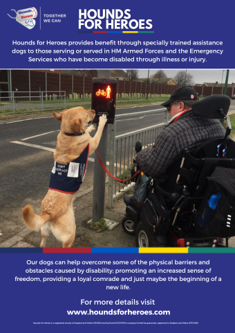 A Hounds for Heroes assistance dog pressing the button at a pelican crossing for it's partner