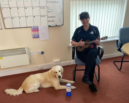 Hounds for Heroes dog trainer habituating a dog in training with a ukulele