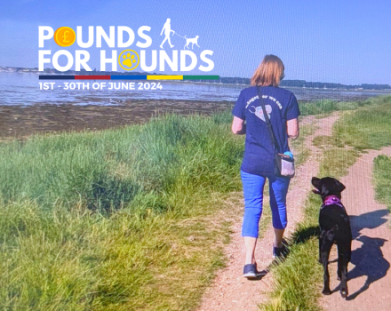 Pounds for Hounds support with dog 