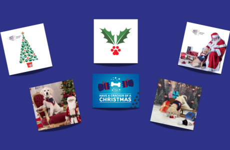 Christmas card range 