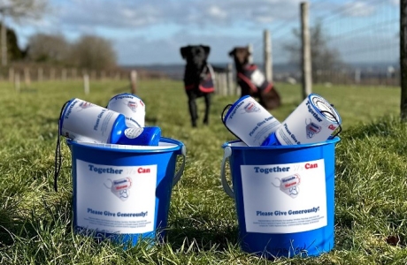 Dogs with donation buckets and tins