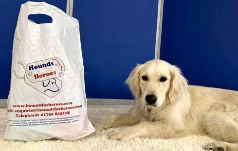 Aurora with shopping bag 