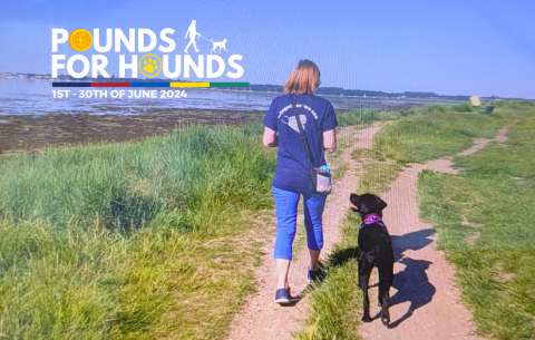 Pounds for Hounds support with dog 