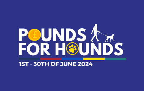 Pounds for Hounds logo 