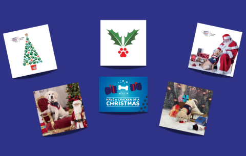 Christmas card range 