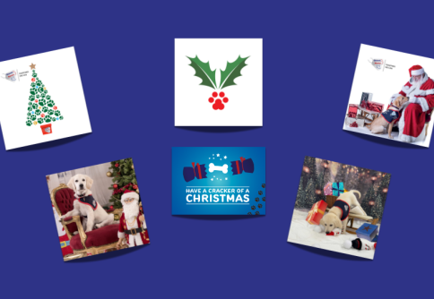 Christmas card range 