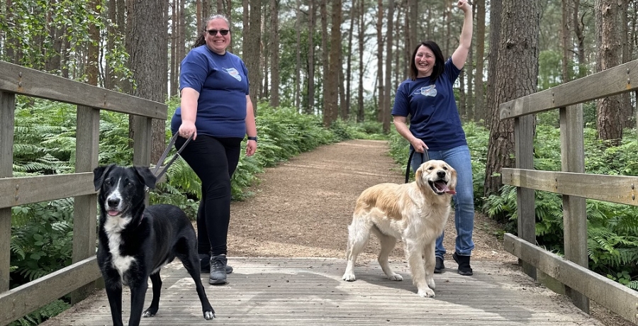 Supporters with dogs on walk 