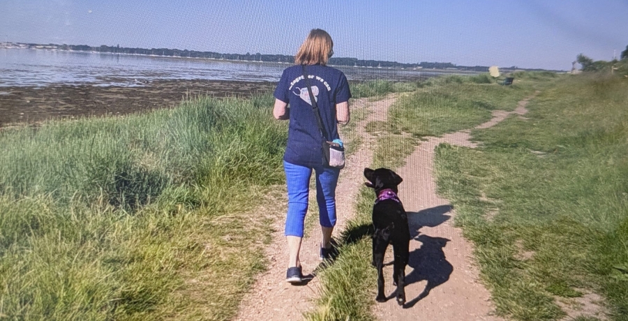 Puppy Parent walking with puppy in training 