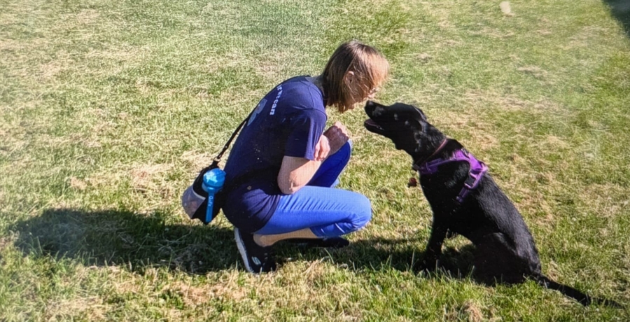 Puppy Parent with puppy in training 