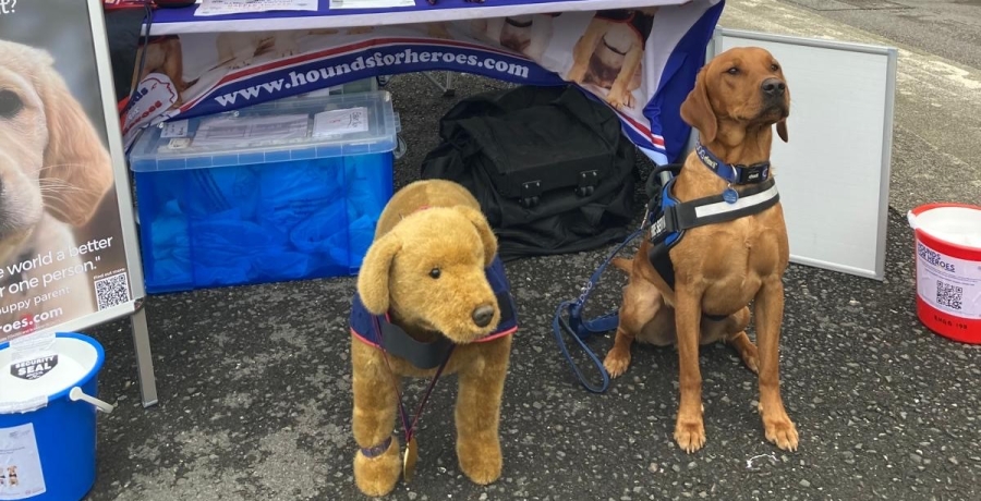 Fire Service dog in training with Hounds for Heroes mascot 